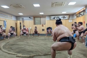 Токио: просмотр утренней тренировки по сумо