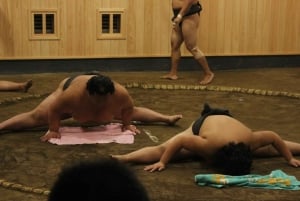 Токио: просмотр утренней тренировки по сумо