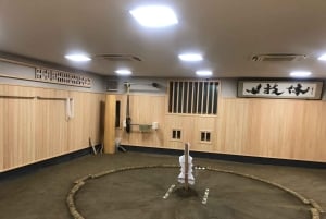 Токио: просмотр утренней тренировки по сумо