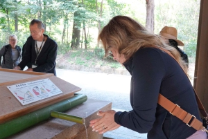 Poranna wycieczka po Tokio: świątynia Meiji, Asakusa i targ rybny