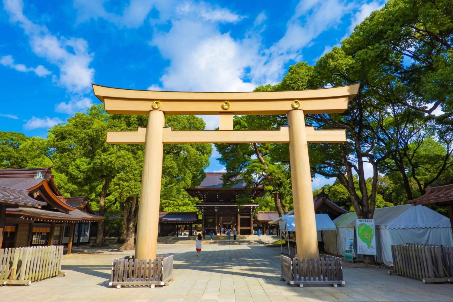 Tour mattutino di Tokyo: Santuario Meiji, Asakusa e tempio locale