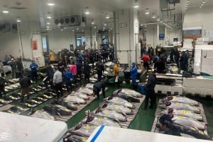 Asta del tonno di Tokyo Toyosu con commerciante + sushi (da standard a VIP)