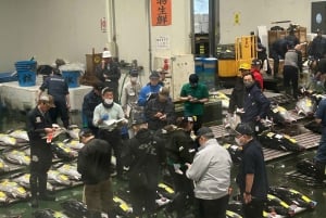 Asta del tonno di Tokyo Toyosu con commerciante + sushi (da standard a VIP)