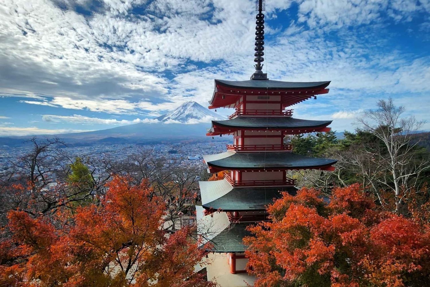 Tokyo : Mont Fuji Visite privée d'une journée personnalisable et abordable