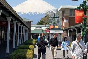 Tóquio: Monte Fuji Tour de 1 dia, personalizável e acessível, em privado