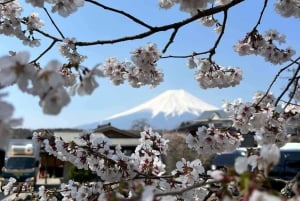 Tóquio: Monte Fuji Tour de 1 dia, personalizável e acessível, em privado