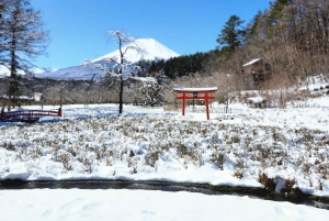 Tokyo : Mont Fuji Visite privée d'une journée personnalisable et abordable