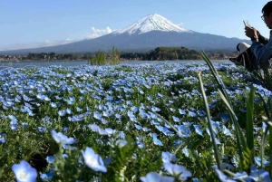 Tokyo : Mont Fuji Visite privée d'une journée personnalisable et abordable