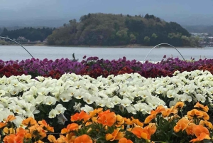 Tokyo : Mont Fuji Visite privée d'une journée personnalisable et abordable