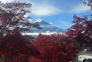 Tokyo : Mont Fuji Visite privée d'une journée personnalisable et abordable