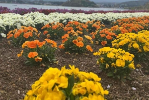 Tokyo : Mont Fuji Visite privée d'une journée personnalisable et abordable