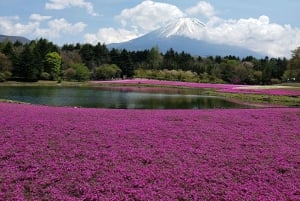 Från Tokyo: Berget Fuji och Hakone privat tur (lågt pris)