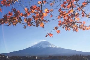 Från Tokyo: Berget Fuji och Hakone privat tur (lågt pris)