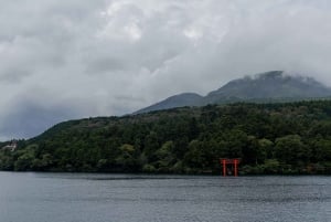 Från Tokyo: Berget Fuji och Hakone privat tur (lågt pris)