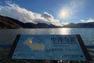 Från Tokyo: Berget Fuji och Hakone privat tur (lågt pris)