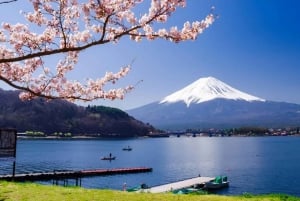 Tokyo: Mount Fuji and Hakone Private Flexible Tour