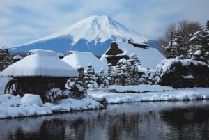 Tokyo: Mount Fuji and Hakone Private Flexible Tour