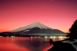 Tokyo: Mount Fuji and Hakone Private Flexible Tour