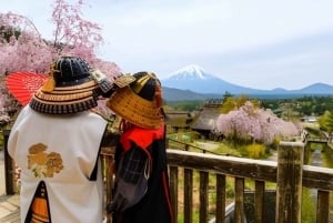 Von Tokio: Private Tagestour zum Fuji und nach Hakone