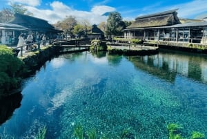 Von Tokio: Private Tagestour zum Fuji und nach Hakone