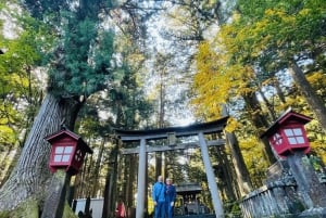 Von Tokio: Private Tagestour zum Fuji und nach Hakone