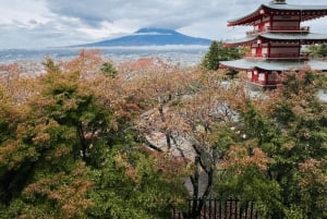 Von Tokio: Private Tagestour zum Fuji und nach Hakone