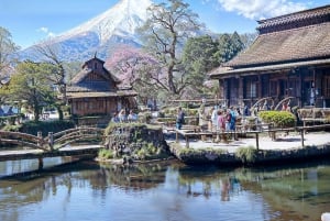 Tokyo: Privat sightseeingtur til Fuji-fjellet og Hakone