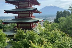 Tóquio: Excursão turística privada ao Monte Fuji e Hakone