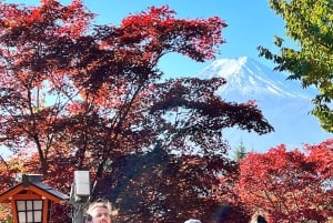 Tóquio: Excursão turística privada ao Monte Fuji e Hakone