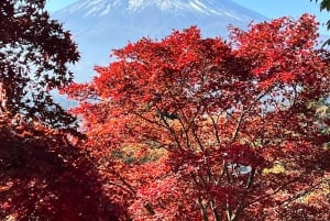 Tóquio: Excursão turística privada ao Monte Fuji e Hakone