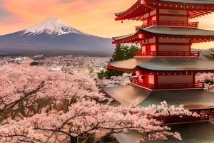 Tokio: Mount Fuji und Hakone private Tour Sightseeingtour