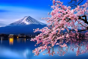 Tokio: Mount Fuji und Hakone private Tour Sightseeingtour