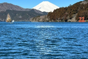 Tokio: Mount Fuji und Hakone private Tour Sightseeingtour