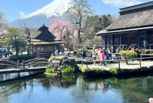 Tokio: Mount Fuji und Hakone private Tour Sightseeingtour