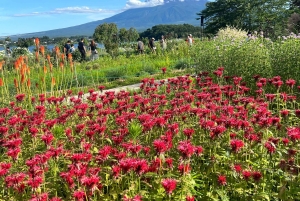 Tokio: Mount Fuji und Hakone private Tour Sightseeingtour