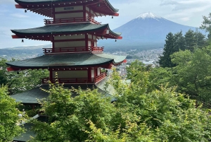 Tokio: Mount Fuji und Hakone private Tour Sightseeingtour