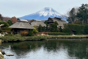 Tokio: Mount Fuji und Hakone private Tour Sightseeingtour