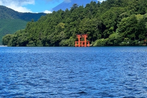 Tokio: Mount Fuji und Hakone private Tour Sightseeingtour