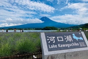 Tokyo: Mount Fuji and Lake Kawaguchi Scenic 1-Day Bus Tour