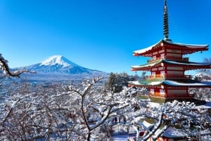 Tokyo: Mount Fuji and Lake Kawaguchi Scenic 1-Day Bus Tour