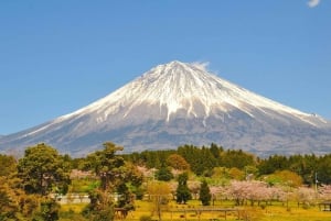 Tokyo: Mount Fuji and Lake Kawaguchi Scenic 1-Day Bus Tour