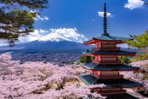 Tokyo: Mount Fuji and Lake Kawaguchi Scenic 1-Day Bus Tour