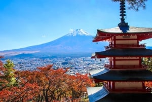 Tokyo: Mt. Fuji, Lake Kawaguchiko, Pagoda och Oishi Park Tour