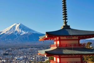 Tokyo: Mt. Fuji, Lake Kawaguchiko, Pagoda och Oishi Park Tour