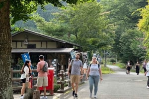 Tokyo: Mt. Fuji, Lake Kawaguchiko, Pagoda och Oishi Park Tour