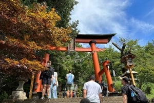 Tokyo: Mt. Fuji, Lake Kawaguchiko, Pagoda och Oishi Park Tour
