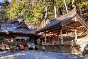 Tokyo: Mt. Fuji, Lake Kawaguchiko, Pagoda och Oishi Park Tour