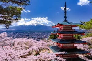 Tokyo: Mt. Fuji, Lake Kawaguchiko, Pagoda och Oishi Park Tour