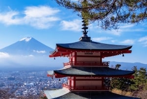Tokyo: Mt. Fuji, Lake Kawaguchiko, Pagoda och Oishi Park Tour