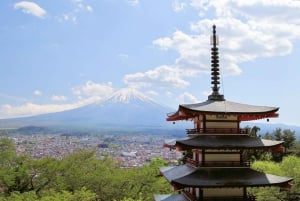 Tokyo: Mt. Fuji, Lake Kawaguchiko, Pagoda och Oishi Park Tour